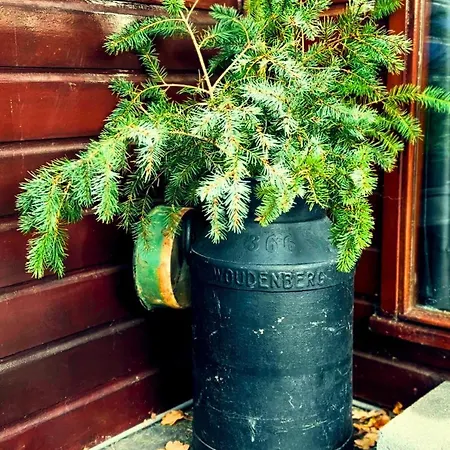 Rustiek Boschalet Sven Veluwe Met Omheinde Tuin