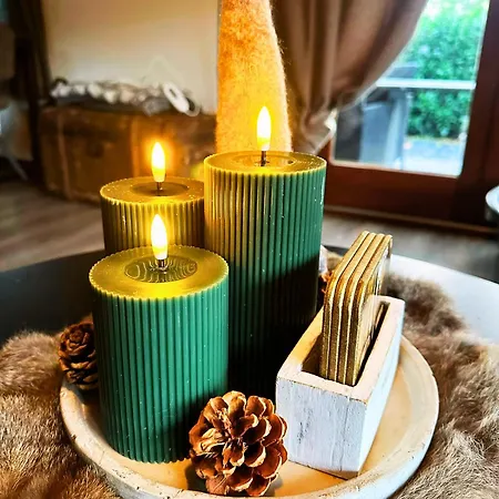 בקתה Rustiek Boschalet Sven Veluwe Met Omheinde Tuin פוטן