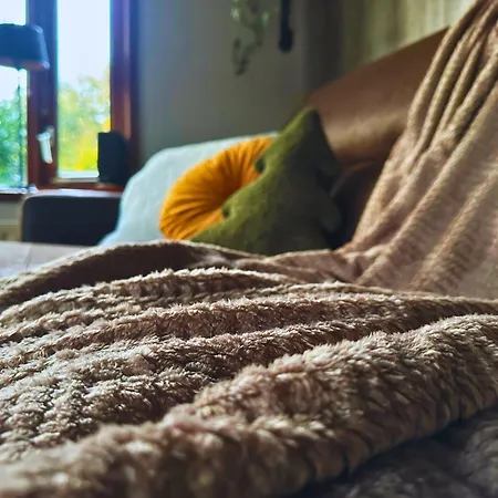 Rustiek Boschalet Sven Veluwe Met Omheinde Tuin Alpstuga