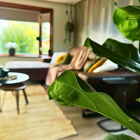 Rustiek Boschalet Sven Veluwe Met Omheinde Tuin בקתה *