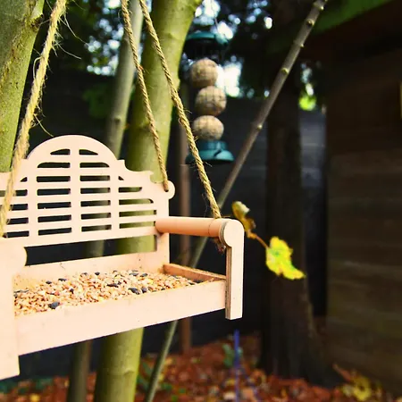 בקתה Rustiek Boschalet Sven Veluwe Met Omheinde Tuin *