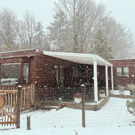 Rustiek Boschalet Sven Veluwe Met Omheinde Tuin *