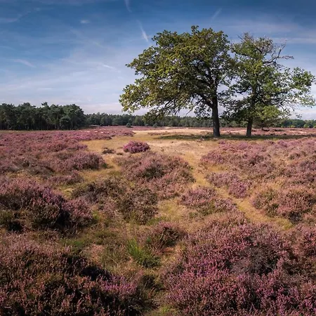 Rustiek Boschalet Sven Veluwe Met Omheinde Tuin Horská chata *