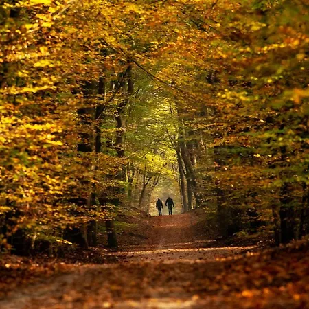 Rustiek Boschalet Sven Veluwe Met Omheinde Tuin Horská chata *