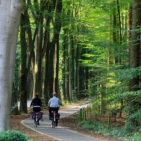 Rustiek Boschalet Sven Veluwe Met Omheinde Tuin *