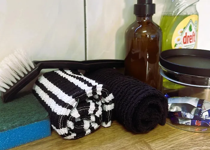 Chalet Rustiek Boschalet Sven Veluwe Met Omheinde Tuin