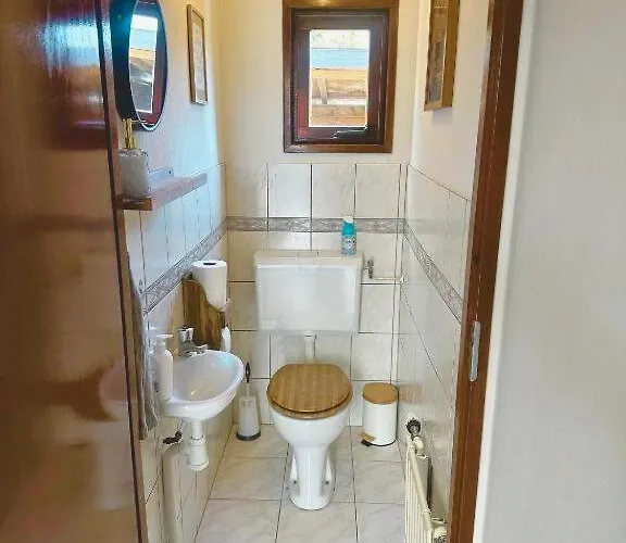 Rustiek Boschalet Sven Veluwe Met Omheinde Tuin Putten