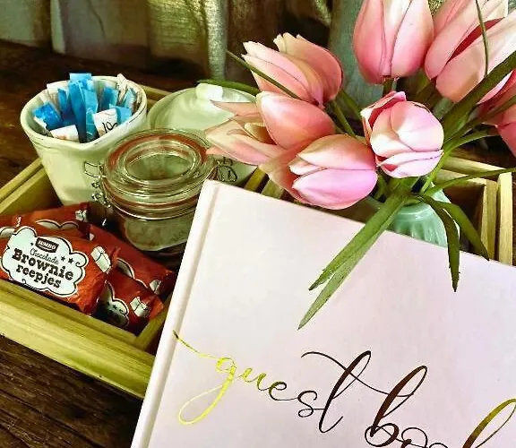 Alpstuga Rustiek Boschalet Sven Veluwe Met Omheinde Tuin