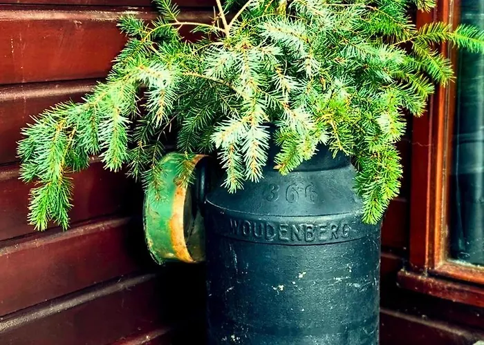 Rustiek Boschalet Sven Veluwe Met Omheinde Tuin