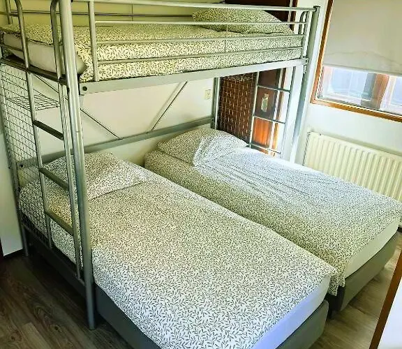 Rustiek Boschalet Sven Veluwe Met Omheinde Tuin * Putten