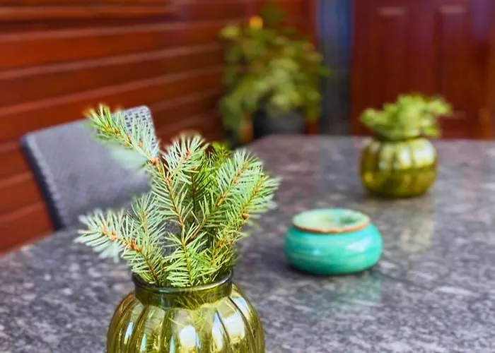 Rustiek Boschalet Sven Veluwe Met Omheinde Tuin Alpstuga Putten