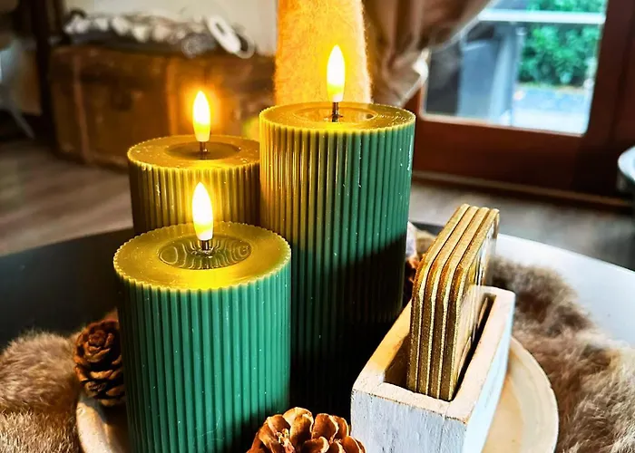 Chalet Rustiek Boschalet Sven Veluwe Met Omheinde Tuin Putten