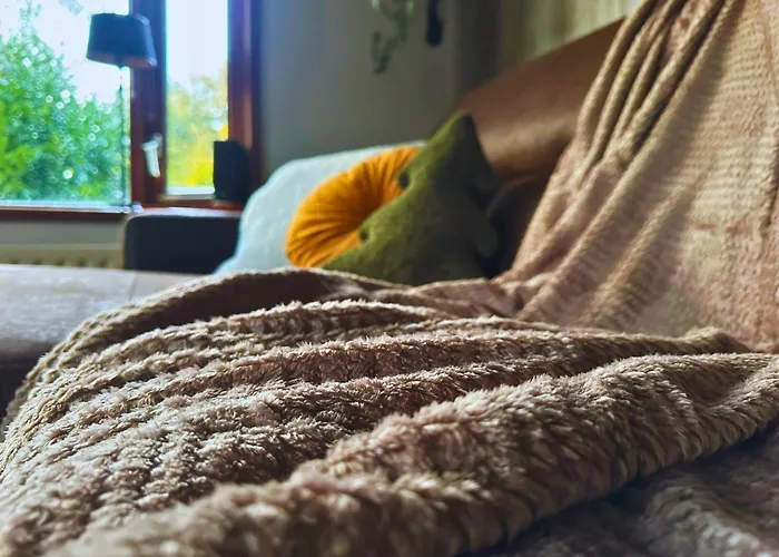 Rustiek Boschalet Sven Veluwe Met Omheinde Tuin Alpstuga