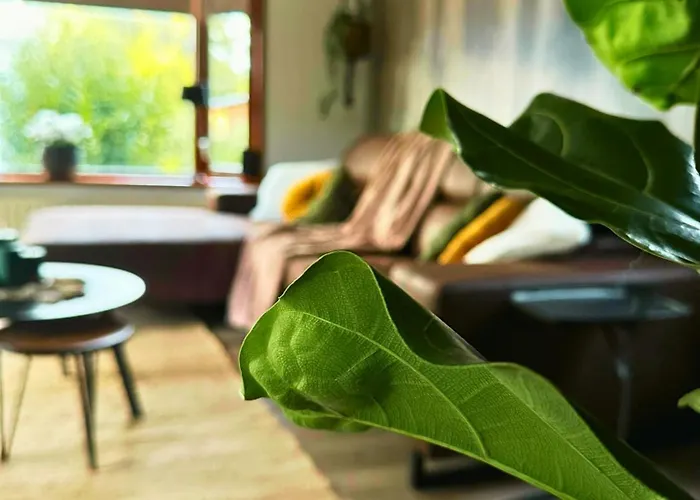 Rustiek Boschalet Sven Veluwe Met Omheinde Tuin Alpehytte *