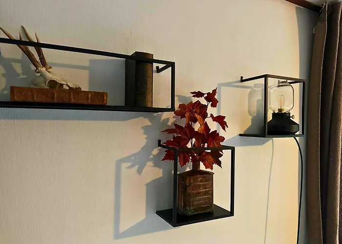 Rustiek Boschalet Sven Veluwe Met Omheinde Tuin * Putten