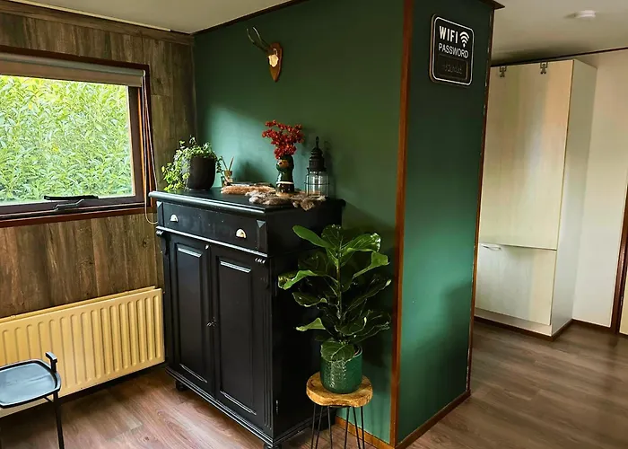 Alpehytte Rustiek Boschalet Sven Veluwe Met Omheinde Tuin