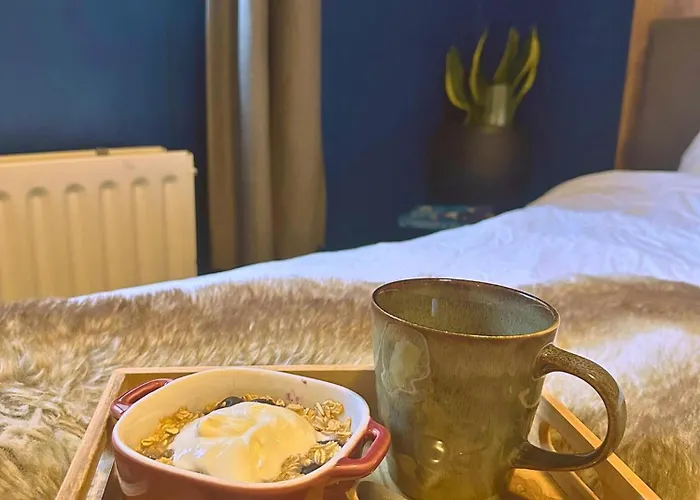 Rustiek Boschalet Sven Veluwe Met Omheinde Tuin