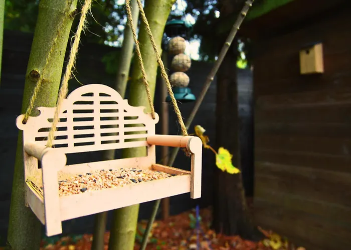 Alpstuga Rustiek Boschalet Sven Veluwe Met Omheinde Tuin *
