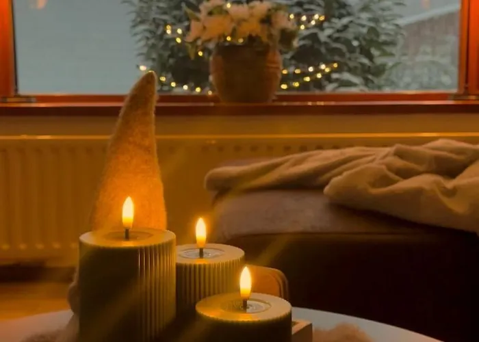 Alpehytte Rustiek Boschalet Sven Veluwe Met Omheinde Tuin Putten