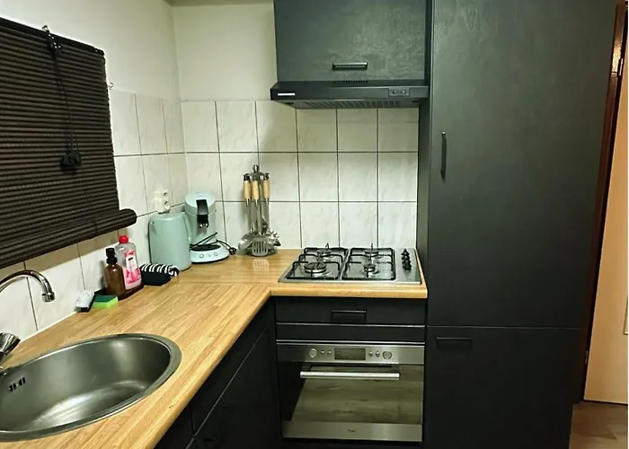 Rustiek Boschalet Sven Veluwe Met Omheinde Tuin Alpehytte