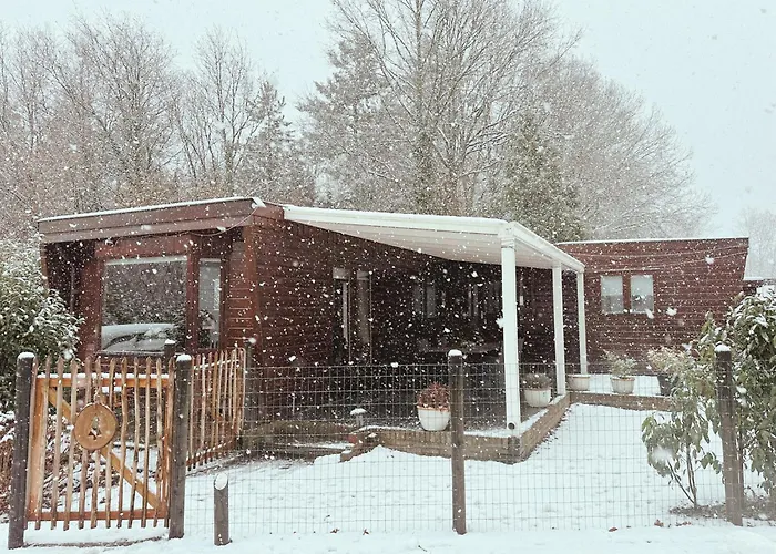 Rustiek Boschalet Sven Veluwe Met Omheinde Tuin *