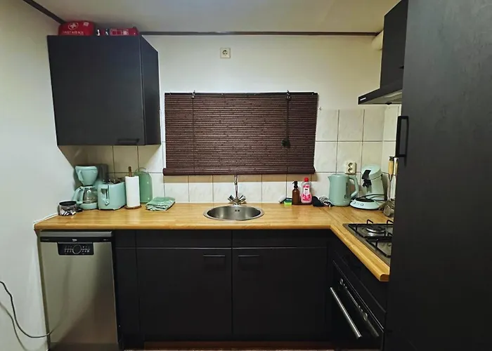 Chalet Rustiek Boschalet Sven Veluwe Met Omheinde Tuin